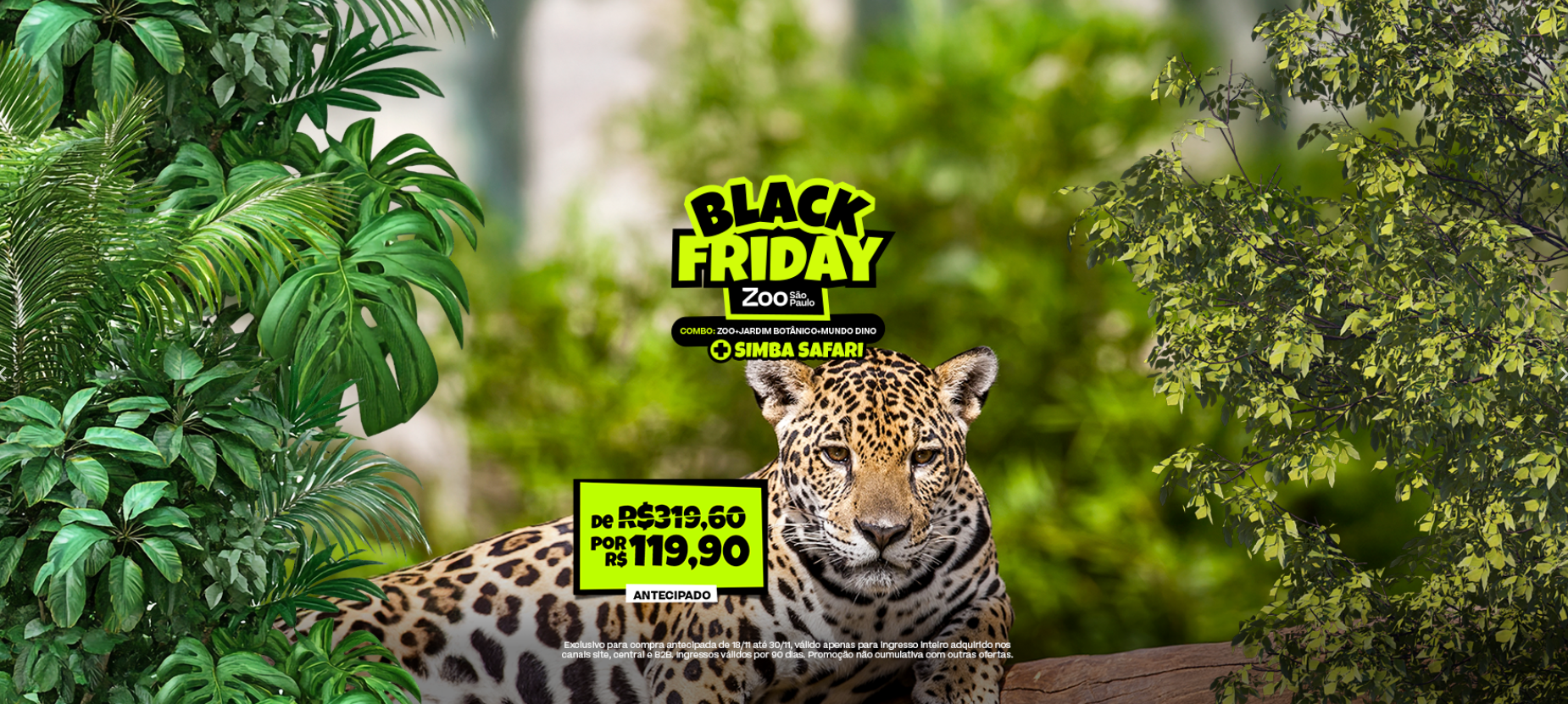 Mergulho com tubarões